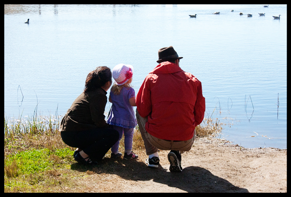 Watching Ducks Sutro Baths