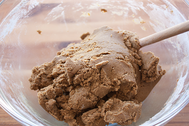 Ginger Molasses Cookie Dough