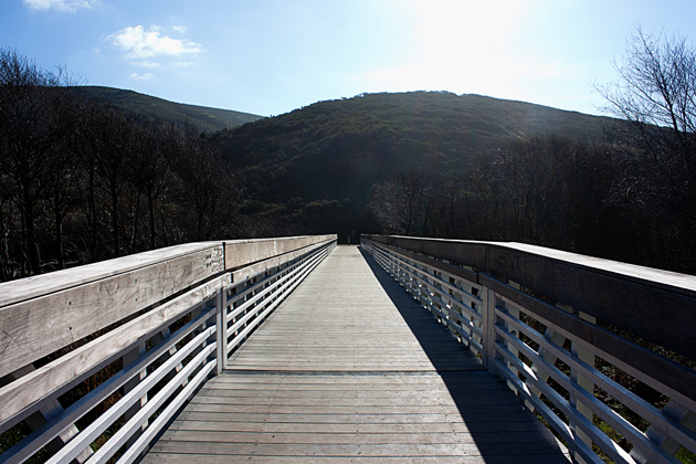 Muir Beach Boardwalk