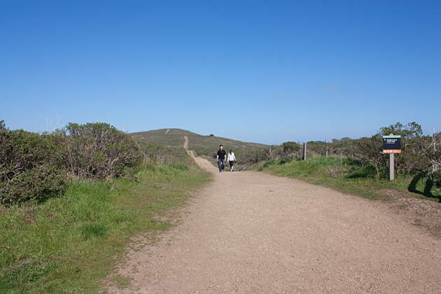 Hiking Coastal Fire Trail