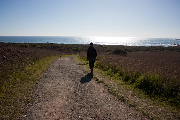 Walking to the Elephant Seals
