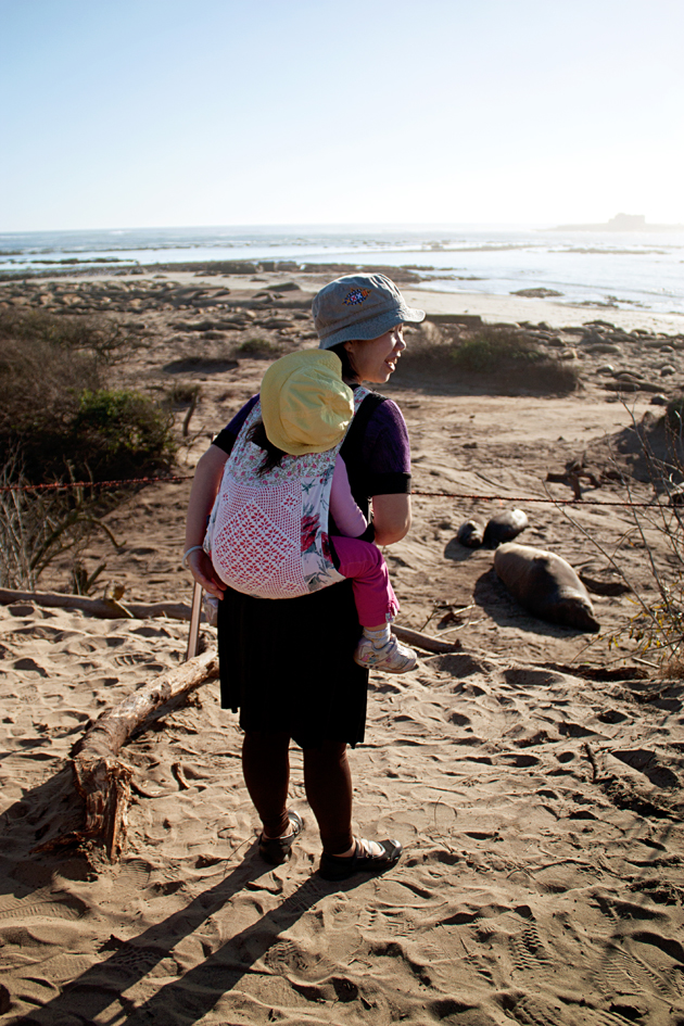 Susan watching the elephant seals