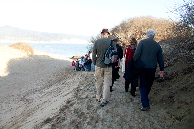Guided walk to see elephant seals